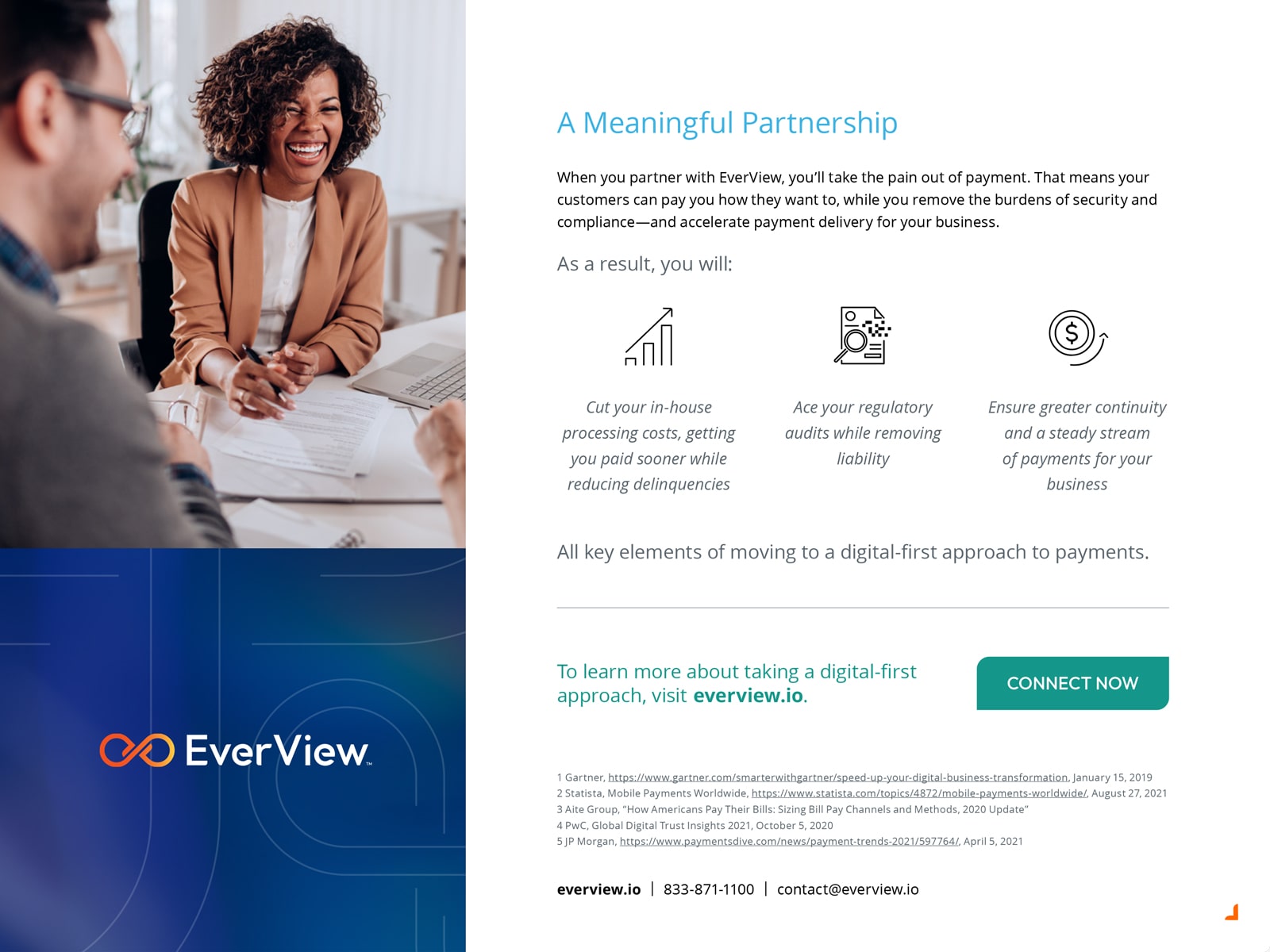 EverView White Paper